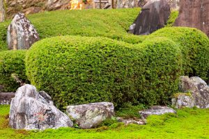 行基寺、岐阜県海津市の観光・撮影スポットの画像と写真