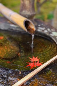 行基寺、紅葉、11月秋、岐阜県海津市の観光・撮影スポットの画像と写真