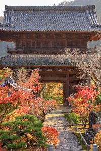 行基寺、紅葉、11月秋、岐阜県海津市の観光・撮影スポットの画像と写真