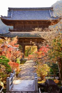 行基寺、紅葉、11月秋、岐阜県海津市の観光・撮影スポットの画像と写真