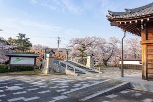 堀尾跡公園、3月の春の花、愛知県丹羽郡の観光・撮影スポットの名所
