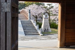 堀尾跡公園、3月の春の花、愛知県丹羽郡の観光・撮影スポットの名所