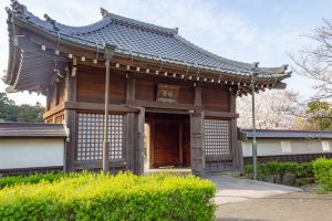 堀尾跡公園、3月の春の花、愛知県丹羽郡の観光・撮影スポットの名所