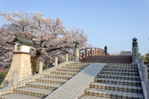 堀尾跡公園、桜、3月の春の花、愛知県丹羽郡の観光・撮影スポットの名所