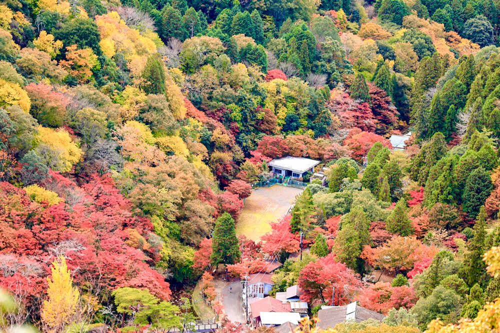 岩屋堂公園、紅葉、11月、愛知県瀬戸市の観光・撮影スポットの画像と写真