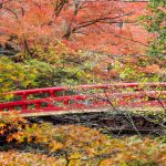 岩屋堂公園、紅葉、11月、愛知県瀬戸市の観光・撮影スポットの画像と写真