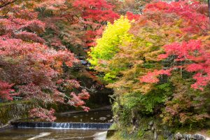 岩屋堂公園、紅葉、11月、愛知県瀬戸市の観光・撮影スポットの画像と写真