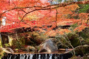 岩屋堂公園、紅葉、11月、愛知県瀬戸市の観光・撮影スポットの画像と写真