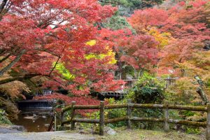 岩屋堂公園、紅葉、11月、愛知県瀬戸市の観光・撮影スポットの画像と写真