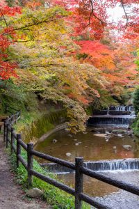 岩屋堂公園、紅葉、11月、愛知県瀬戸市の観光・撮影スポットの画像と写真
