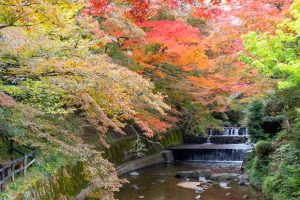 岩屋堂公園、紅葉、11月、愛知県瀬戸市の観光・撮影スポットの画像と写真