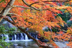 岩屋堂公園、紅葉、11月、愛知県瀬戸市の観光・撮影スポットの画像と写真