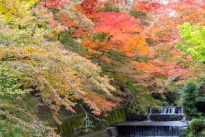 岩屋堂公園、紅葉、11月、愛知県瀬戸市の観光・撮影スポットの画像と写真
