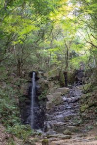 岩屋堂公園、紅葉、11月、愛知県瀬戸市の観光・撮影スポットの画像と写真