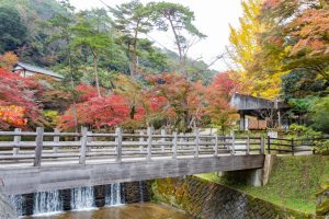 岩屋堂公園、紅葉、11月、愛知県瀬戸市の観光・撮影スポットの画像と写真