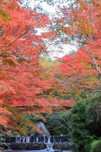 岩屋堂公園、紅葉、11月、愛知県瀬戸市の観光・撮影スポットの画像と写真