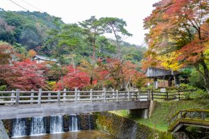 岩屋堂公園、紅葉、11月、愛知県瀬戸市の観光・撮影スポットの画像と写真