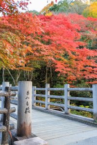 岩屋堂公園、紅葉、11月、愛知県瀬戸市の観光・撮影スポットの画像と写真