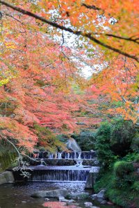 岩屋堂公園、紅葉、11月、愛知県瀬戸市の観光・撮影スポットの画像と写真