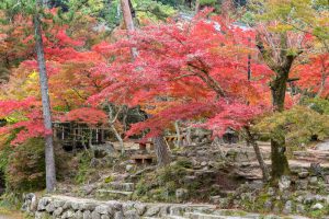 岩屋堂公園、紅葉、11月、愛知県瀬戸市の観光・撮影スポットの画像と写真　紅葉　11月　愛知県瀬戸市の観光・撮影スポットの画像と写真