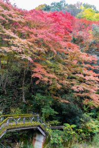 岩屋堂公園、紅葉、11月、愛知県瀬戸市の観光・撮影スポットの画像と写真紅葉　11月　愛知県瀬戸市の観光・撮影スポットの画像と写真