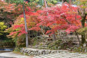 岩屋堂公園、紅葉、11月、愛知県瀬戸市の観光・撮影スポットの画像と写真　紅葉　11月　愛知県瀬戸市の観光・撮影スポットの画像と写真