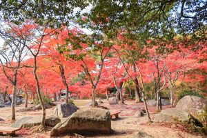 岩屋堂公園、紅葉、11月、愛知県瀬戸市の観光・撮影スポットの画像と写真