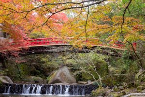岩屋堂公園、紅葉、11月、愛知県瀬戸市の観光・撮影スポットの画像と写真