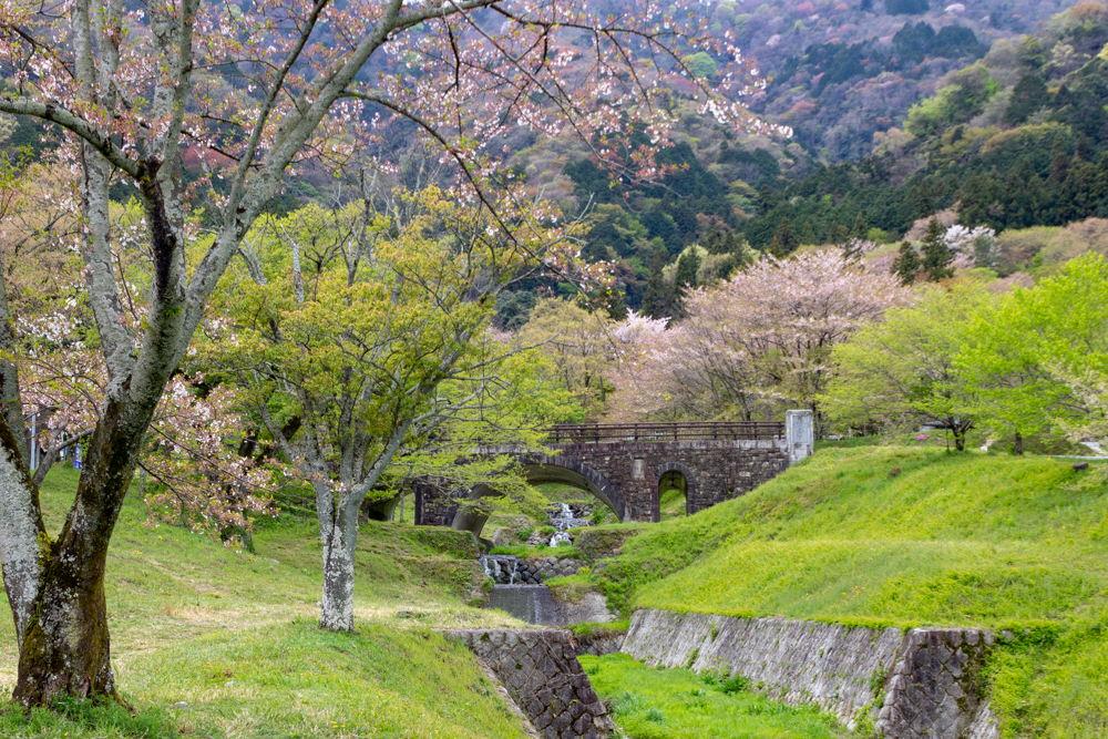 霞間ケ渓公園、桜、4月春の花、岐阜県揖斐郡の観光・撮影スポットの名所