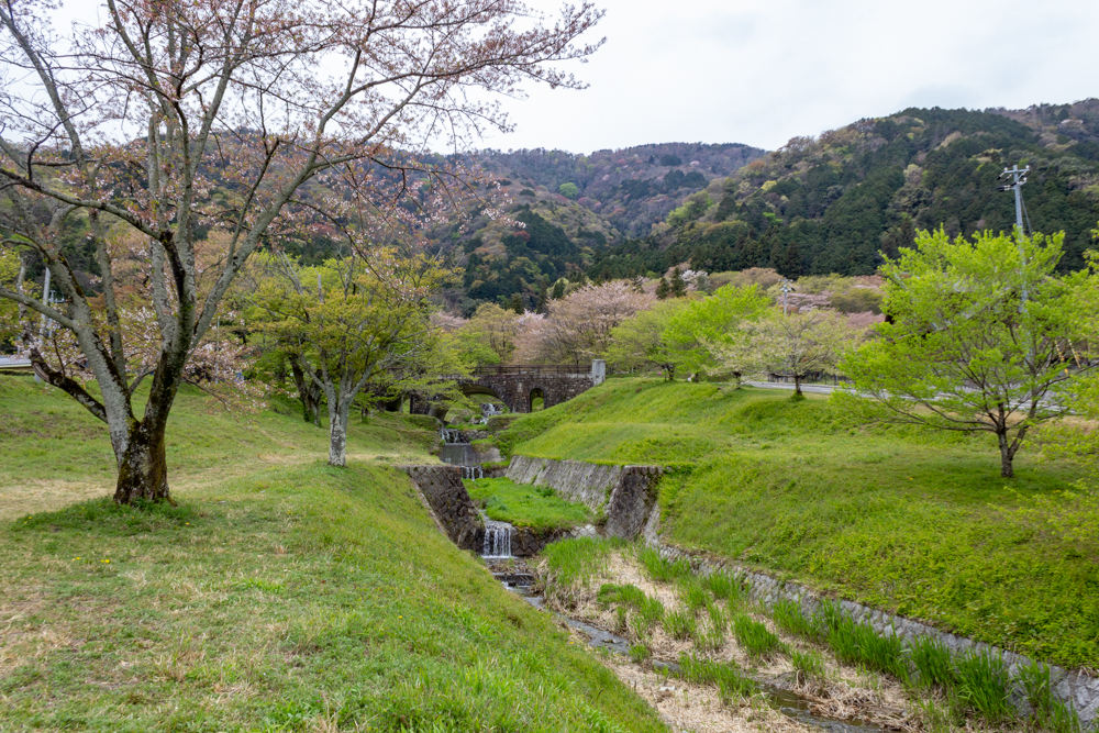 霞間ケ渓公園、桜、4月春の花、岐阜県揖斐郡の観光・撮影スポットの名所