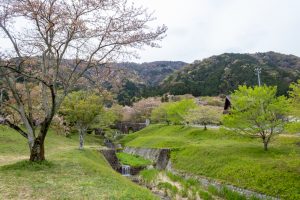 霞間ケ渓公園、桜、4月春の花、岐阜県揖斐郡の観光・撮影スポットの名所