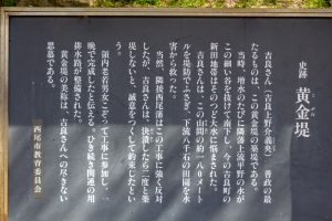 黄金堤、桜、3月の春の花、愛知県西尾市の観光・撮影スポットの名所