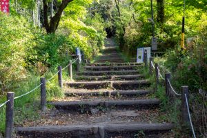 小牧山史跡公園、つつじ、4月春の花、愛知県小牧市の観光・撮影スポットの名所