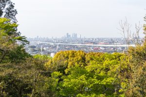 小牧山史跡公園、つつじ、4月春の花、愛知県小牧市の観光・撮影スポットの名所