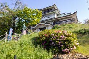 小牧山史跡公園、つつじ、4月春の花、愛知県小牧市の観光・撮影スポットの名所
