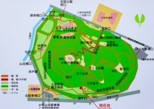 小牧山史跡公園、つつじ、4月春の花、愛知県小牧市の観光・撮影スポットの名所