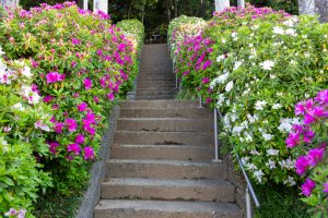 小牧山史跡公園、つつじ、4月春の花、愛知県小牧市の観光・撮影スポットの名所