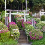 小牧山史跡公園、つつじ、4月春の花、愛知県小牧市の観光・撮影スポットの名所