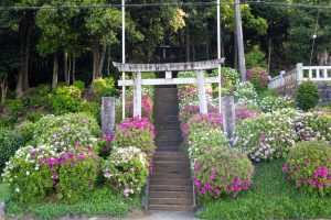 小牧山史跡公園、つつじ、4月春の花、愛知県小牧市の観光・撮影スポットの名所