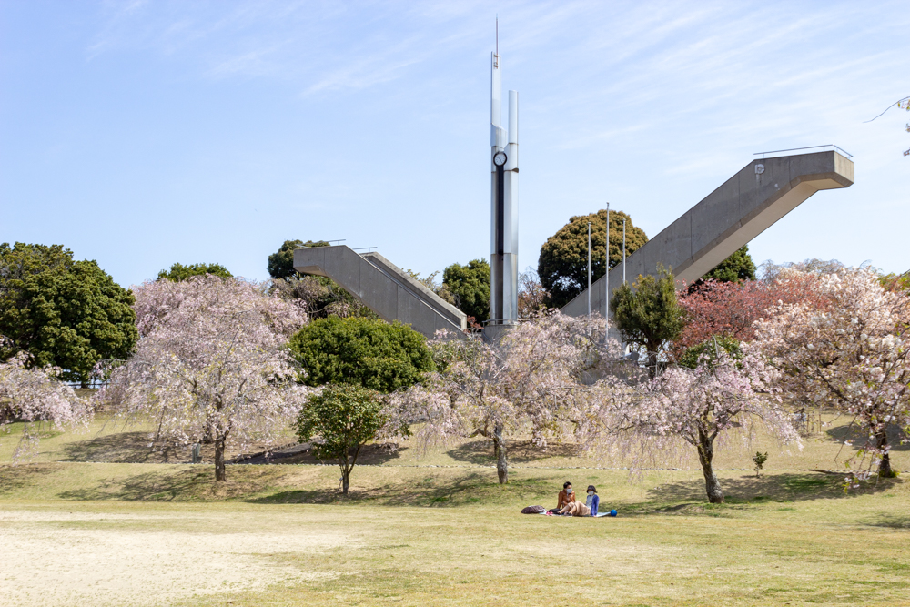 幸田しだれ桜まつり、4月春の花、愛知県額田郡の観光・撮影スポットの名所