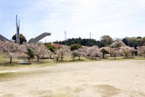幸田しだれ桜まつり、4月春の花、愛知県額田郡の観光・撮影スポットの名所