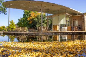 学びの森、イチョウ、紅葉、黄葉、11月秋、岐阜県各務原市の観光・撮影スポットの画像と写真
