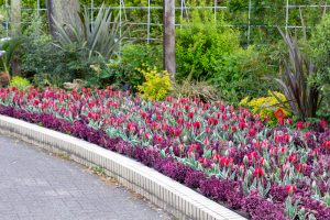 名城公園、4月の春の花、名古屋市北区の観光・撮影スポットの画像と写真