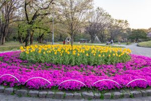 名城公園、4月の春の花、名古屋市北区の観光・撮影スポットの画像と写真