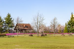 ミササガパーク、4月春の花、愛知県刈谷市の観光・撮影スポットの画像と写真ーク、芝桜、4月春の花、愛知県刈谷市の観光・撮影スポットの画像と写真