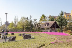 ミササガパーク、芝桜、4月春の花、愛知県刈谷市の観光・撮影スポットの画像と写真