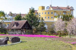 ミササガパーク、芝桜、4月春の花、愛知県刈谷市の観光・撮影スポットの画像と写真
