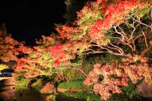 なばなの里、紅葉・鏡池、12月冬、三重県桑名市の観光・撮影スポットの画像と写真