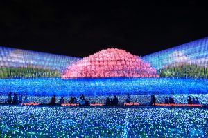 なばなの里、イルミネーション、12月冬、三重県桑名市の観光・撮影スポットの画像と写真
