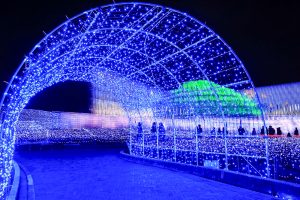 なばなの里、イルミネーション、12月冬、三重県桑名市の観光・撮影スポットの画像と写真